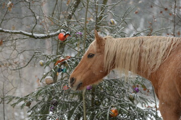 Weihnachten mit Pferd. Schönes goldenes Pferd im verschneiten Wald mit Weihnachtsbaum