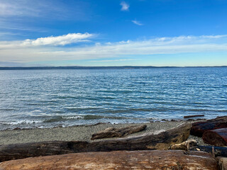 Fototapeta na wymiar driftwood along the beach Kayak Point Washington