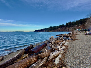 driftwood along the beach Kayak Point Washington