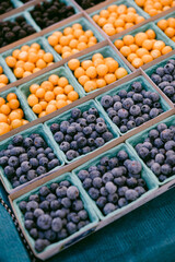 blueberries in the market