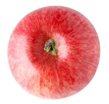 One red apple bottom view cut out
