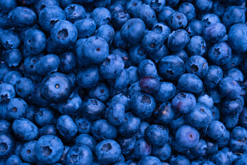 Fresh blueberry background. Texture blueberry berries close up.