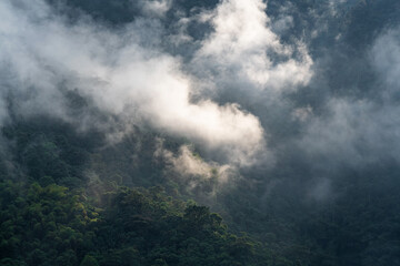 Obraz na płótnie Canvas Ethereal sun rays in cloud forest of Tandayapa Mindo at sunrise, Quito, Ecuador.