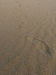 Fototapeta na wymiar fotografias de las marcas del aire en la arena 