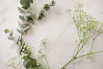 eucalyptus branches and little flowers flat lay frame marble background