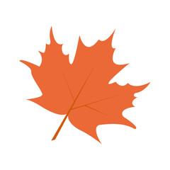 red orange maple leaf autumn