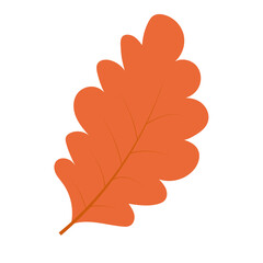 Obraz premium oak leaf yellow orange autumn