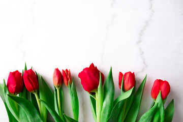Floral red tulips flat lay frame marble background