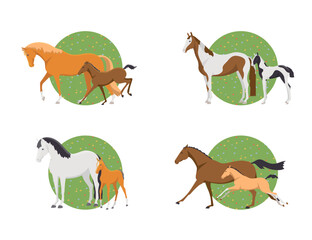 Set isolated mares and foals. Vector collection cute animals
