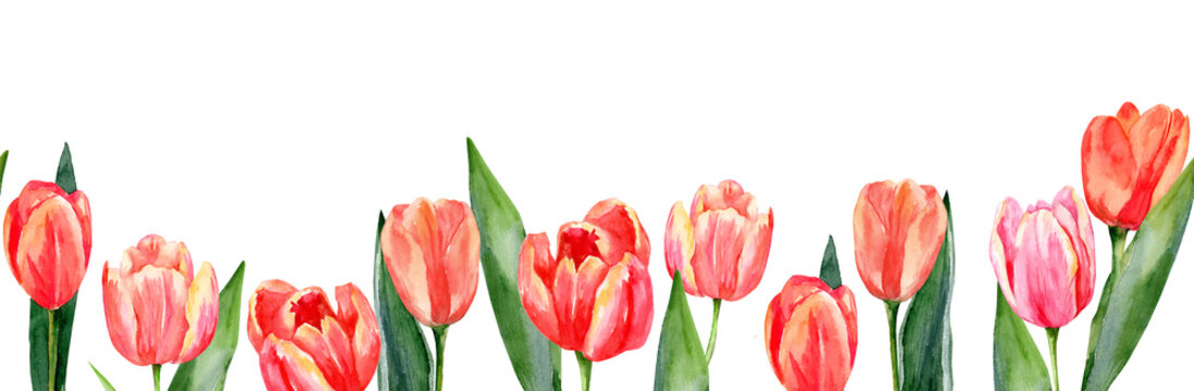 Seamless horizontal border with watercolor leaves and pink tulip flowers. Banner for Valentine's Day and March 8