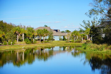 Fototapeta na wymiar Beautiful blue lake or pond in a Florida community
