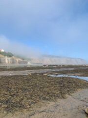 Robin Hood Bay Cliffs Misty Beach
