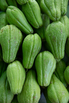 Freah chayote or Sechium edule on market for sale. Freah chayote background Is a very useful vegetable. In portuguese is called chuchu. Sao Paulo City, Brazil.