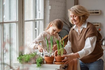An elderly woman grandmother and a little girl granddaughter take care of and plant potted plants inside the house, do gardening in the spring for Earth Day