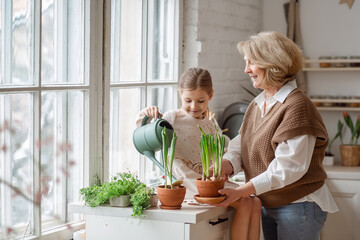 An elderly woman grandmother and a little girl granddaughter take care of and plant potted plants inside the house, do gardening in the spring for Earth Day
