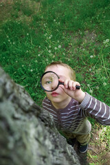 A little boy is looking through a magnifying glass at a tree trunk outdoors. Outdoor activities of child