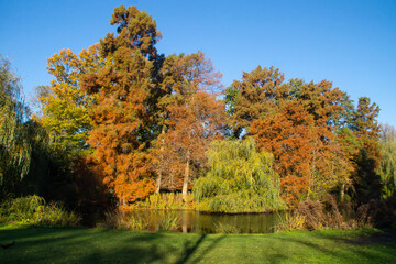 Vondelpark lake in Amsterdam in autumn