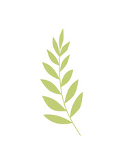 Fototapeta premium Vector illustration of flowers, twig of green leaves. Decorative flat flower stylized in color. For design for the holidays. Illustrations for stickers, prints, advertisements, solo elements