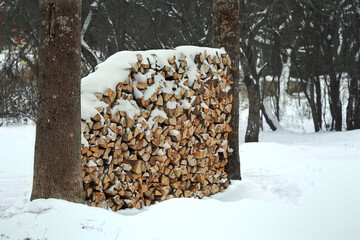 A pile of chopped wood in the yard.