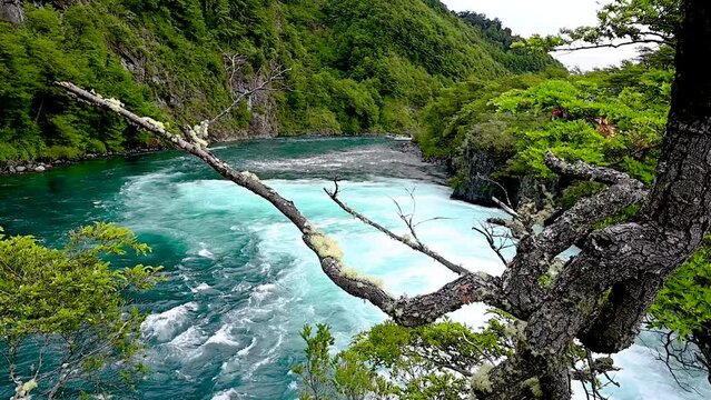Glacial Blue waters footage running downstream among trees from Calbuco volcano in LLanquihue National Park,Chile