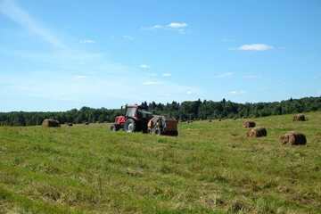 Obraz premium Countryside landscape with tractor working in the long field with many rolled dry hay at the edge of the forest on bright sunny summer day