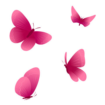 set of pink bright butterflies an element for the design of cards, banners, wallpapers, textiles, wrappers for various holidays on a white background