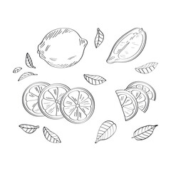 Lemon pattern. Vector illustration isolated on white background.
