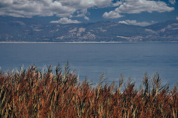 Shore view of a salt lake with reeds in the foreground, mountains and clouds in the sky. Lake wallpaper