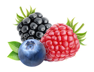 Three berries (blueberry, raspberry, blackberry) cut out