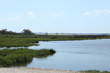 Assateague Island, MD 2022 Summer Beach