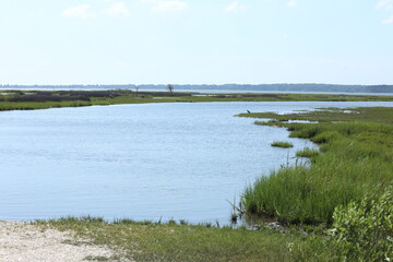 Assateague Island, MD 2022 Summer Beach