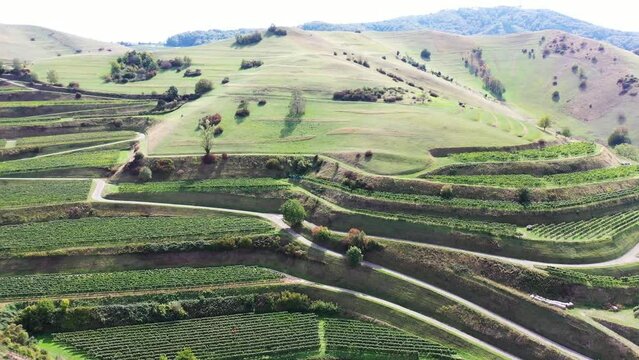 Drohnen Luftaufnahme von Schelingen am Kaiserstuhl mit Blick auf die Weinberge. Schelingen, Vogtsburg am Kaiserstuhl, Breisgau, Schwarzwald, Freiburg, Baden-W&uuml;rttemberg, Deutschland.