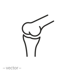 human joint icon, bone anatomical structure, person knee, thin line symbol - editable stroke vector illustration