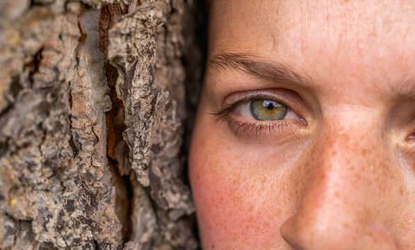 Green-eyed gaze with tear 