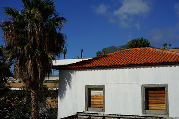 abandoned white house with red roof and palm tree in front of it