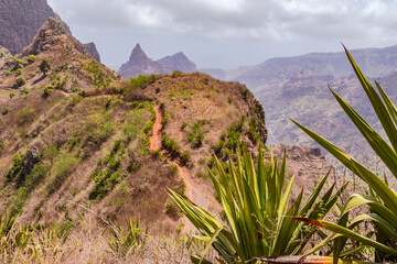 A lonely steep hiking trail through grass and agaves on the mountainous Santiago island, Cape Verde