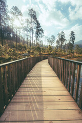 Obraz premium Forest landscape with a lake, a small jetty helps to guide the gaze.