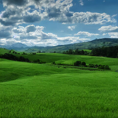Fototapeta na wymiar landscape with grass and sky, AI generated art