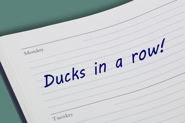 Ducks in a row diary reminder message