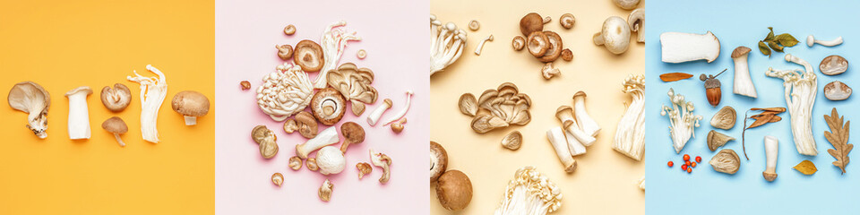 Group of different fresh mushrooms on color background, top view