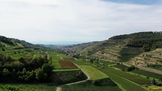 Drohnen Luftaufnahme von Schelingen am Kaiserstuhl mit Blick auf die Weinberge. Schelingen, Vogtsburg am Kaiserstuhl, Breisgau, Schwarzwald, Freiburg, Baden-W&uuml;rttemberg, Deutschland.
