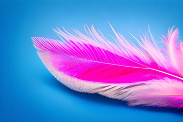 pink feather on blue background