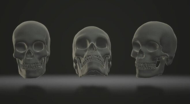 human body anatomy, skull skeleton