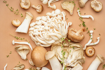 Composition with different fresh mushrooms and thyme on color background