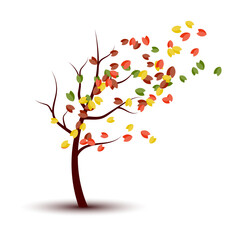 Naklejka premium Autumn tree vector illustration in flat cartoon style design isolated on white background. Colorful leaves falling from a tree. Farming orchard garden concept. Vector illustration