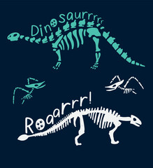 Fototapeta na wymiar Dinosaur skeleton set diplodocus, triceratops, t-rex, stegosaurus, parasaurolophus etc.