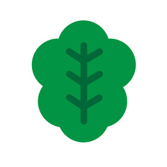 Lettuce Flat Icon
