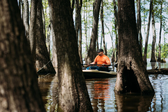 Man kayaking on lake between cypress trees