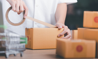 Startups or Small Business Entrepreneurs, Pack products for delivery, manage orders in online...