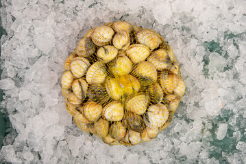 Los berberechos son una comida popular en Oriente y en Occidente. La receta de la paella de marisco española puede incluir berberechos - obrazy, fototapety, plakaty